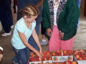 Girl picking Peaches