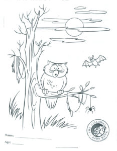 Coloring Page3