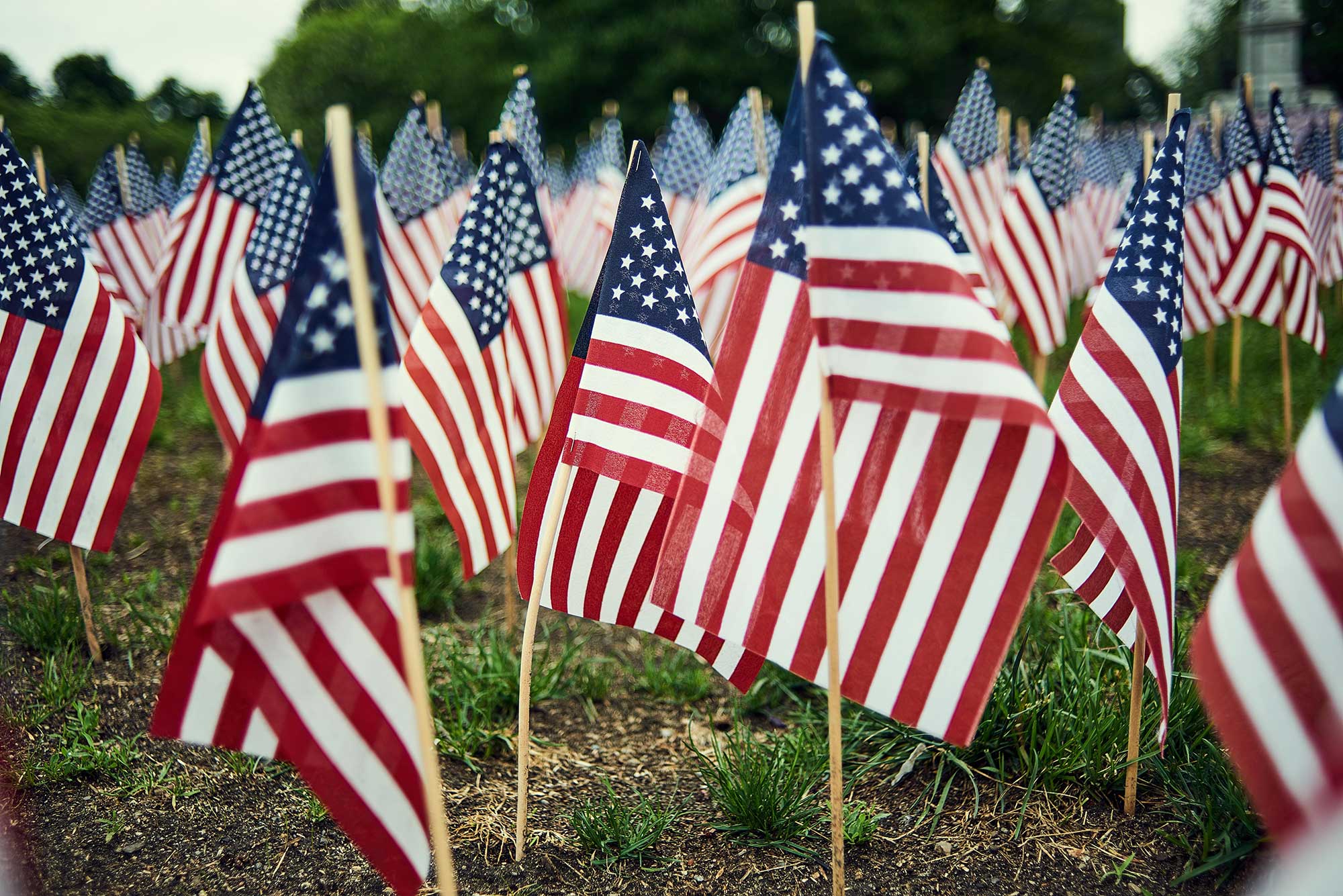 flags picture