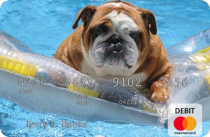Custom Debit Card - Dog Pool photo