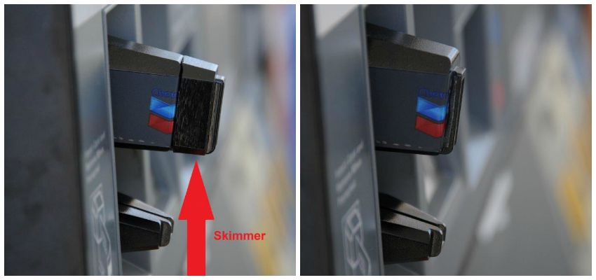 skimmers-compared-image