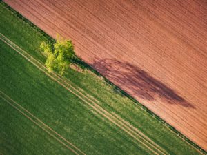 ivan bandura 734906 unsplash Copy