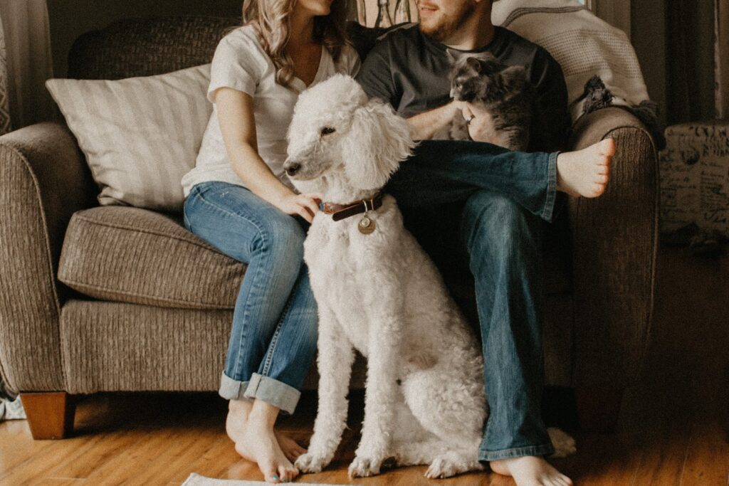 First-time home buyers sitting with a dog and a cat.