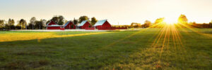 feature image farm 1