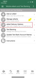 eAlerts menu paint scaled