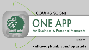 coming soon! one app for business and personal accounts